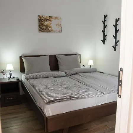 Montana, Kopaonik, Ivony 아파트 *