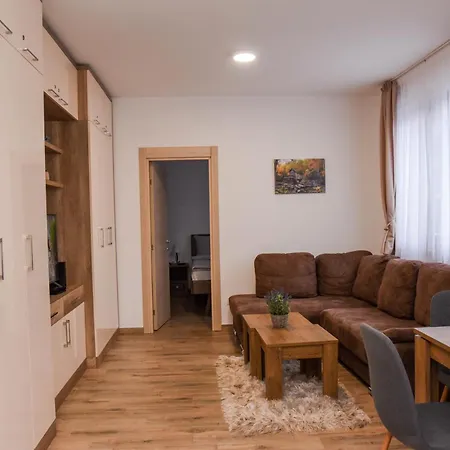 Montana, Kopaonik, Ivony 아파트